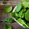 Лучшие рецепты: Весенние салаты Легкий и вкусный весенний салат